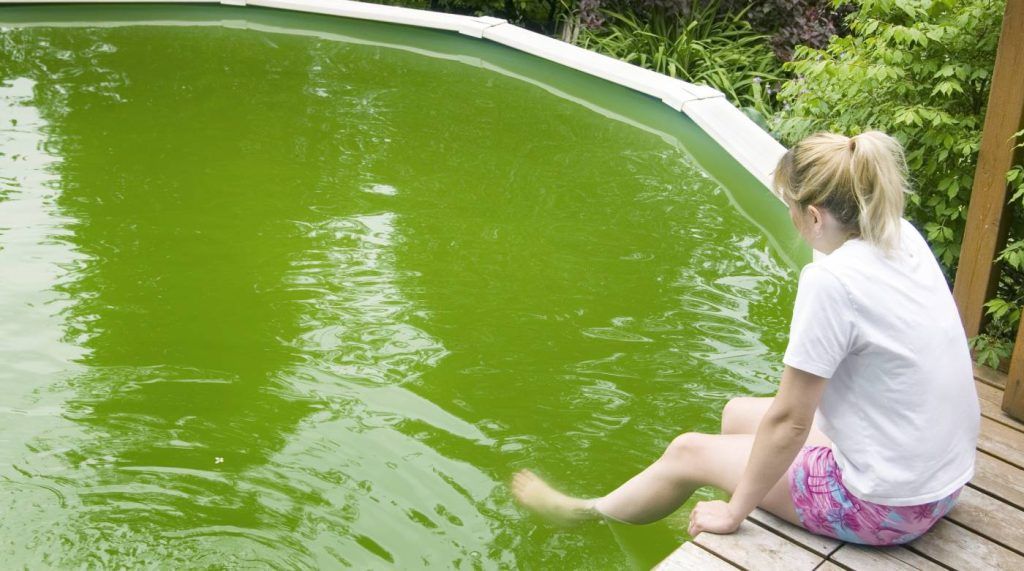 Quitar el verdín de las paredes de la piscina